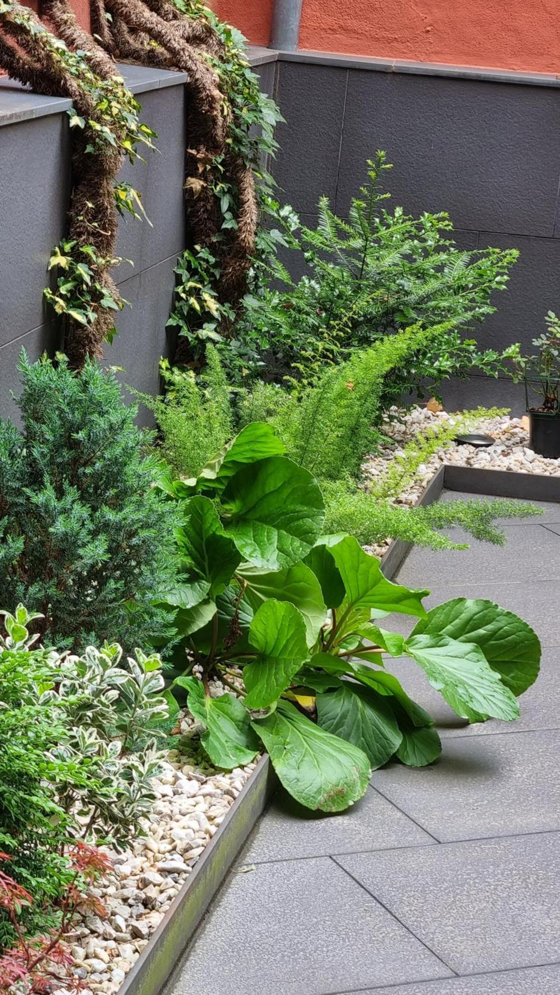 Apartaments Y Habitacions Entre Volcans Olot Zewnętrze zdjęcie